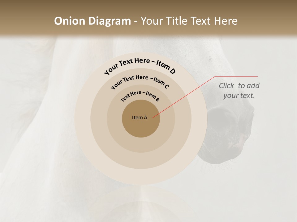 Animal Domestic Thoroughbred PowerPoint Template