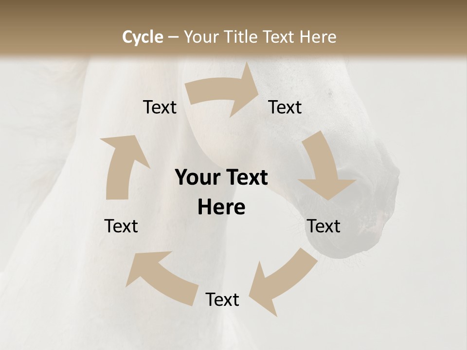 Animal Domestic Thoroughbred PowerPoint Template