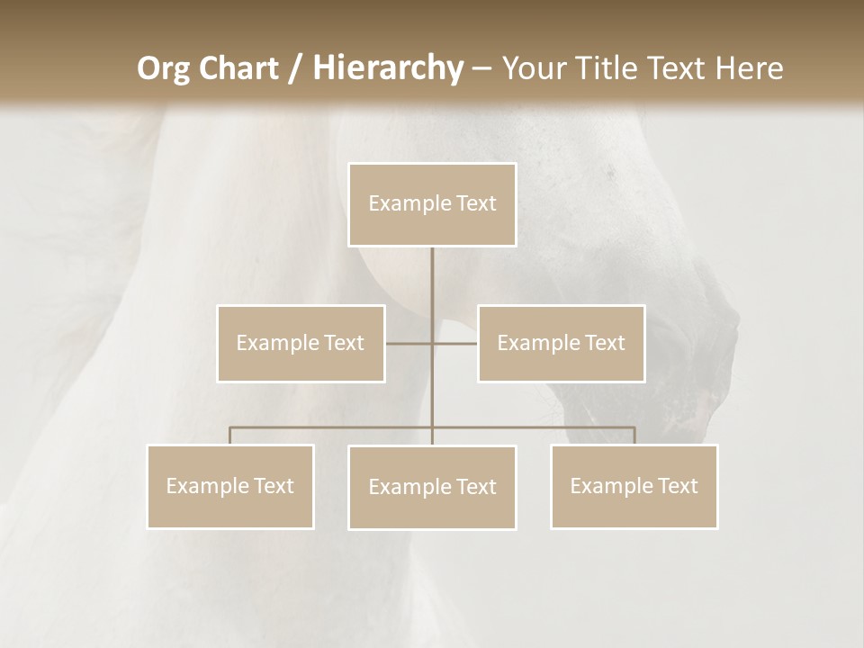 Animal Domestic Thoroughbred PowerPoint Template