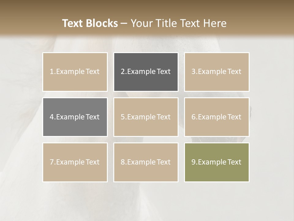 Animal Domestic Thoroughbred PowerPoint Template