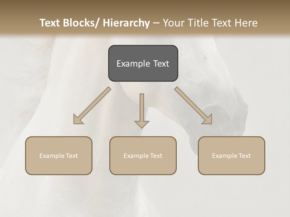 Animal Domestic Thoroughbred PowerPoint Template