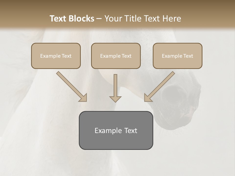 Animal Domestic Thoroughbred PowerPoint Template
