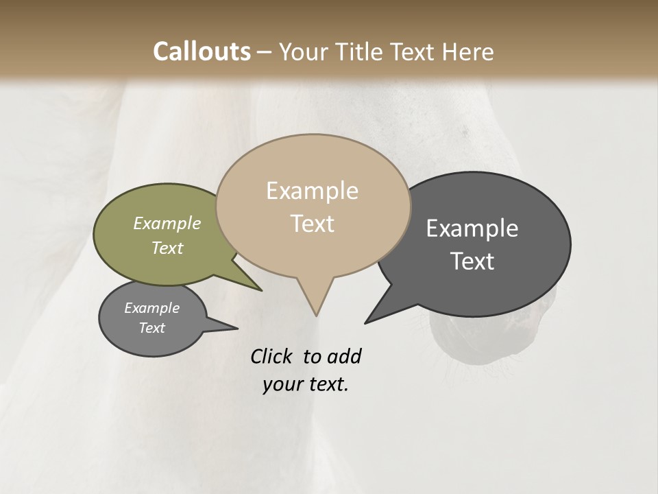 Animal Domestic Thoroughbred PowerPoint Template