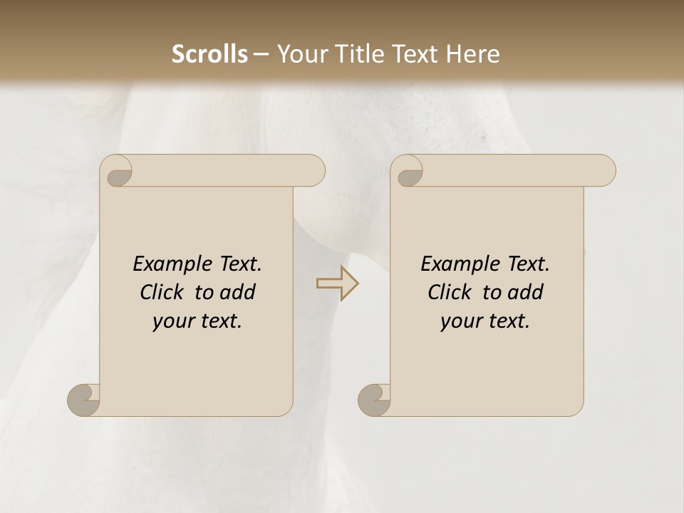 Animal Domestic Thoroughbred PowerPoint Template