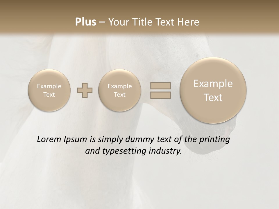 Animal Domestic Thoroughbred PowerPoint Template