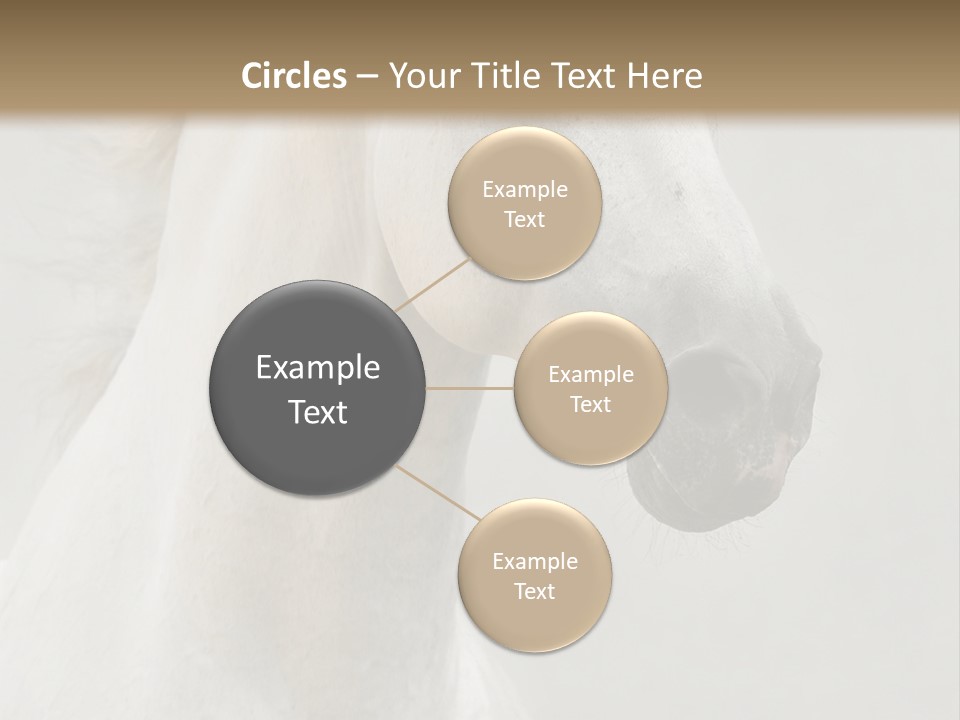 Animal Domestic Thoroughbred PowerPoint Template