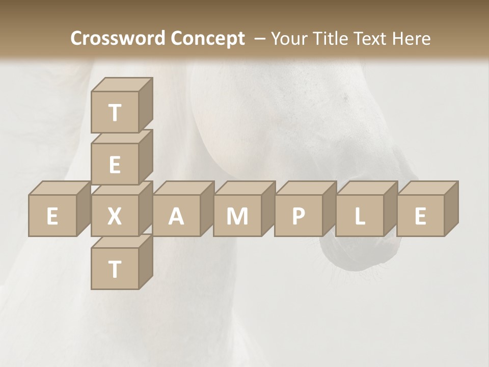 Animal Domestic Thoroughbred PowerPoint Template