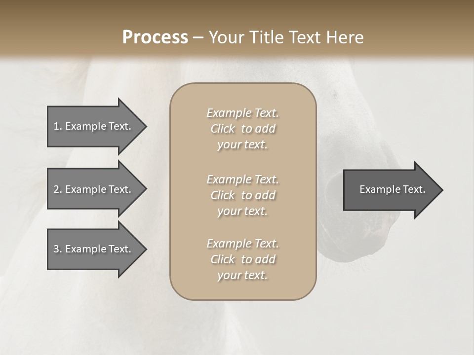 Animal Domestic Thoroughbred PowerPoint Template