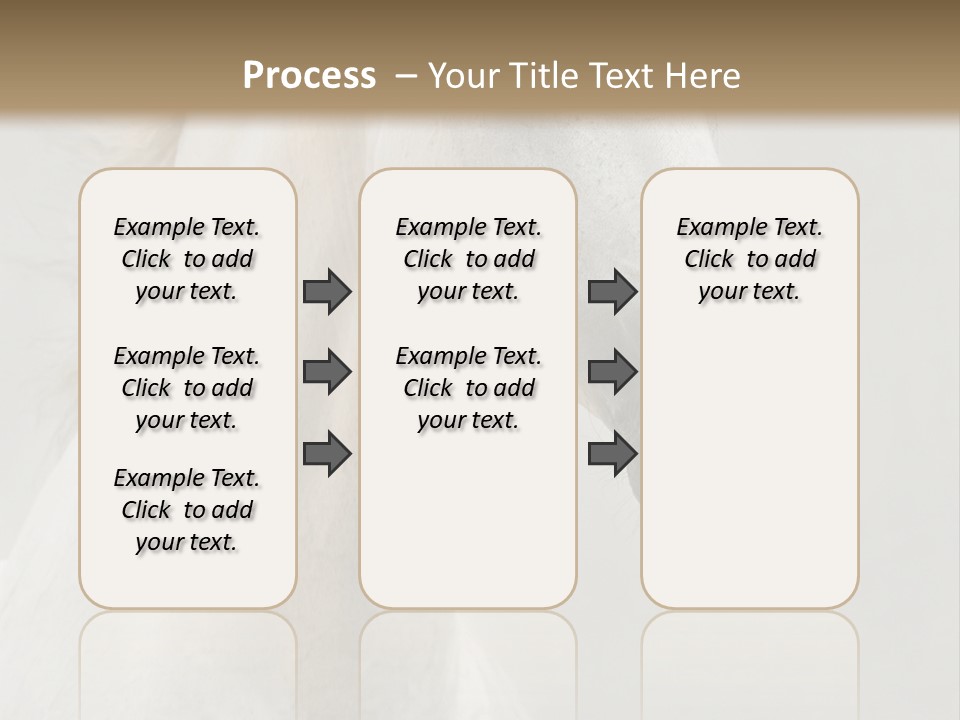 Animal Domestic Thoroughbred PowerPoint Template