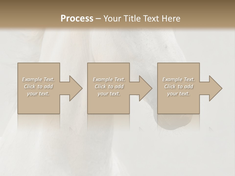 Animal Domestic Thoroughbred PowerPoint Template