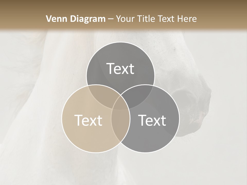 Animal Domestic Thoroughbred PowerPoint Template