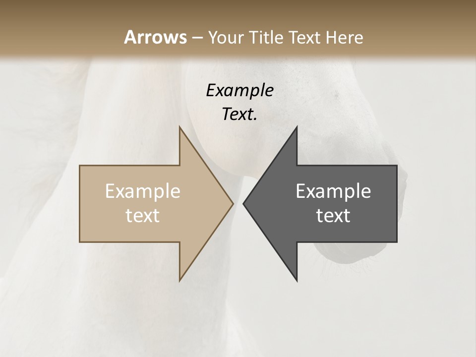 Animal Domestic Thoroughbred PowerPoint Template