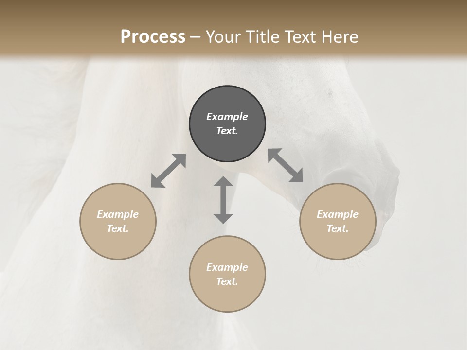 Animal Domestic Thoroughbred PowerPoint Template