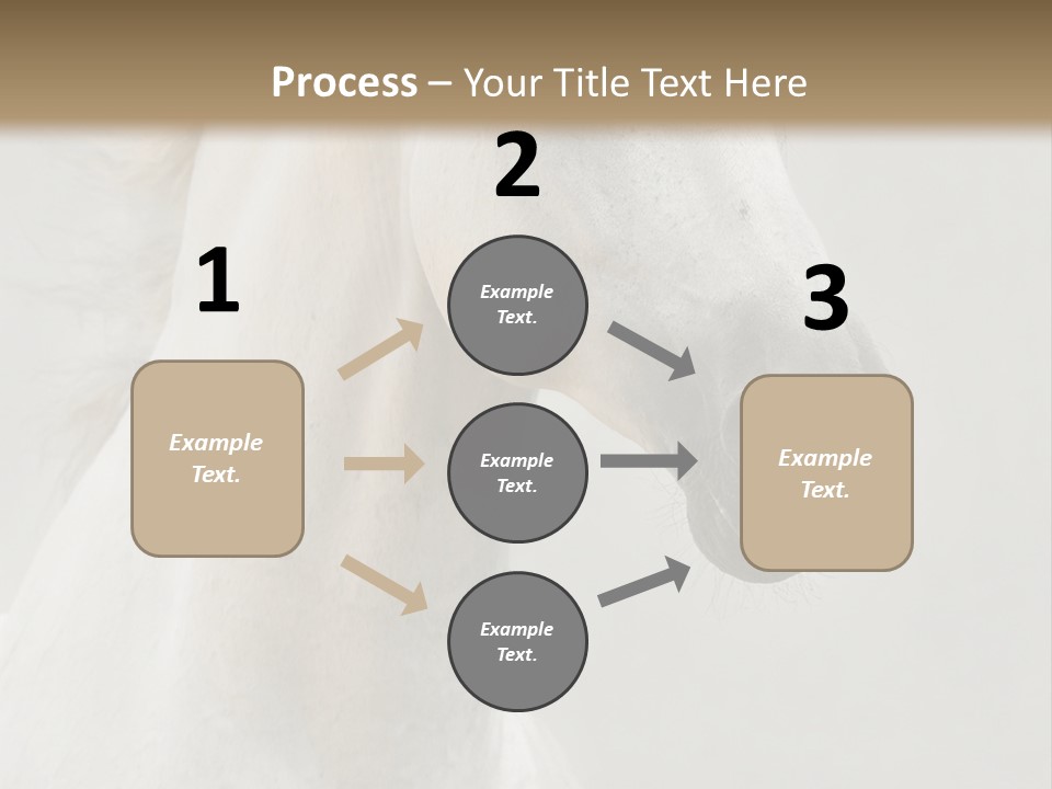 Animal Domestic Thoroughbred PowerPoint Template