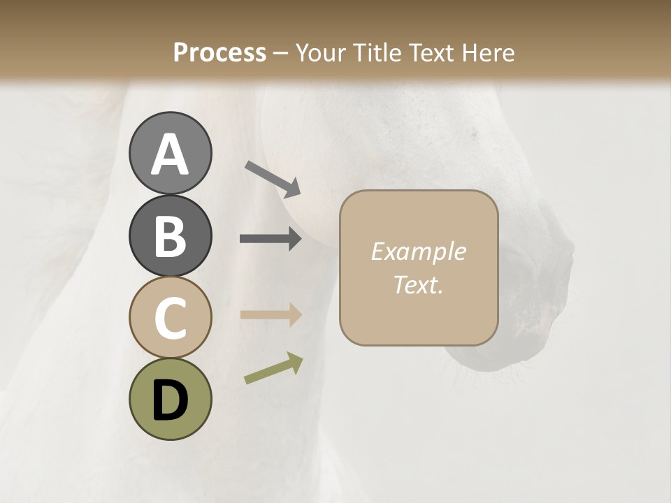 Animal Domestic Thoroughbred PowerPoint Template