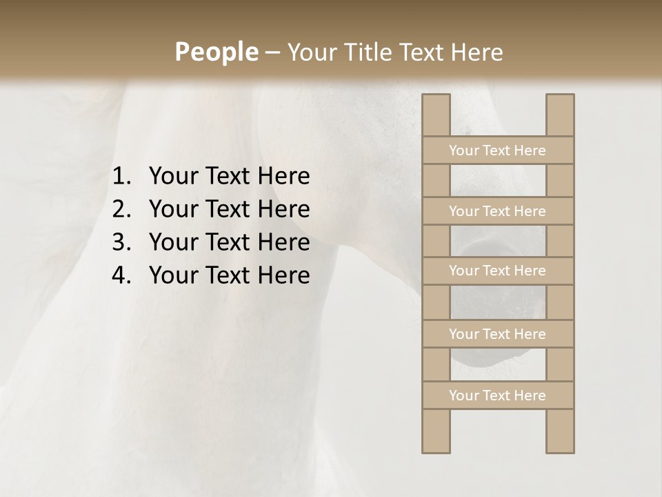 Animal Domestic Thoroughbred PowerPoint Template