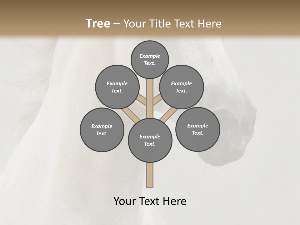 Animal Domestic Thoroughbred PowerPoint Template