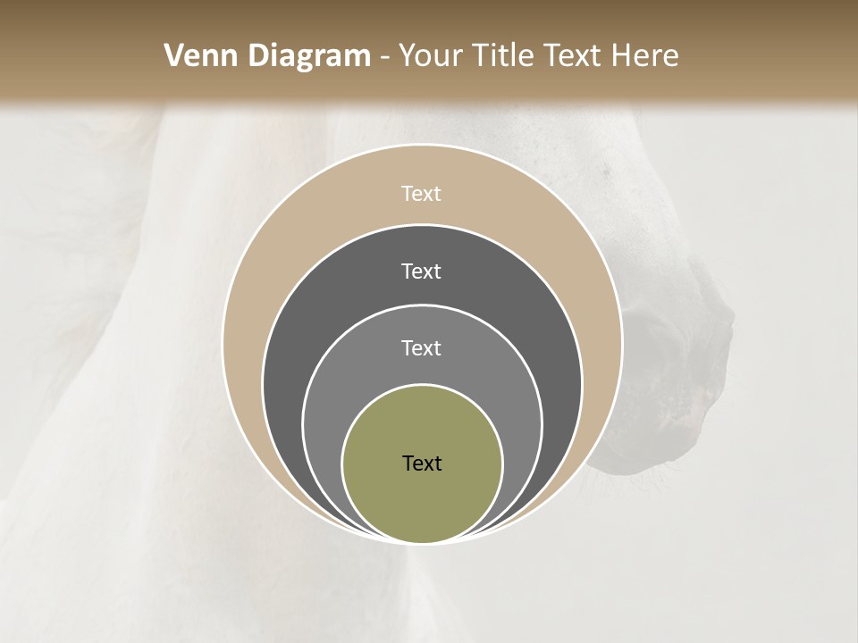 Animal Domestic Thoroughbred PowerPoint Template