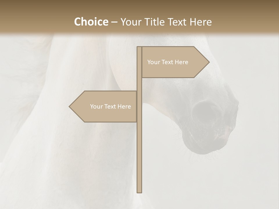 Animal Domestic Thoroughbred PowerPoint Template