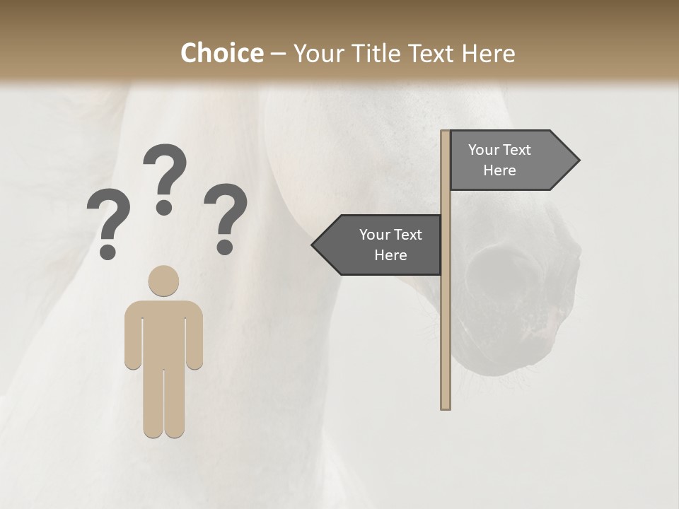 Animal Domestic Thoroughbred PowerPoint Template