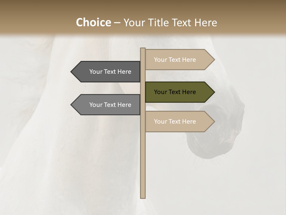 Animal Domestic Thoroughbred PowerPoint Template