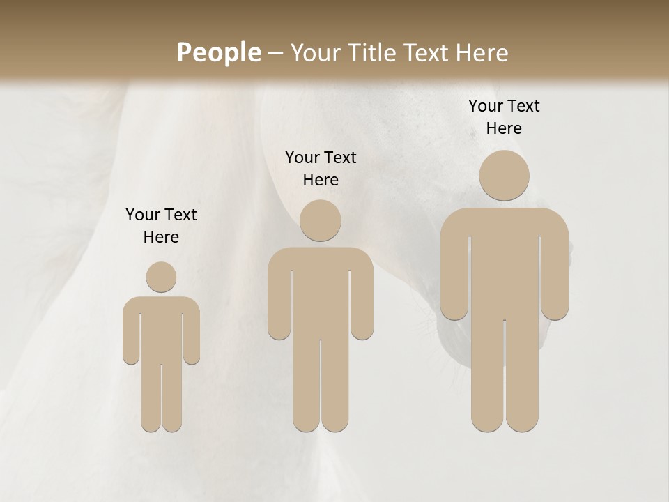 Animal Domestic Thoroughbred PowerPoint Template