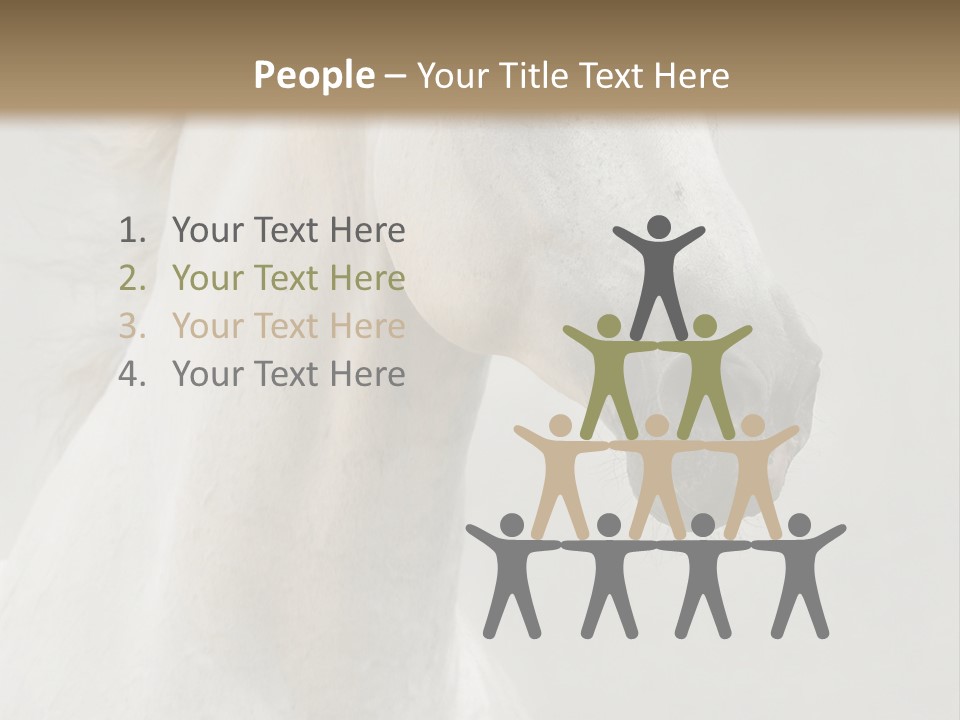 Animal Domestic Thoroughbred PowerPoint Template