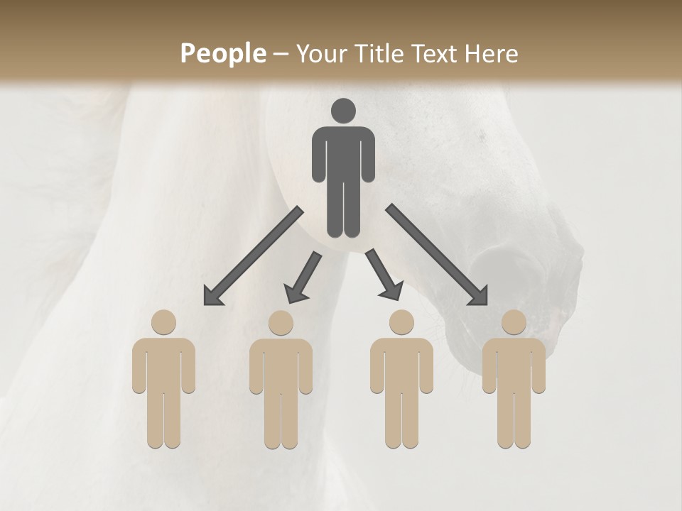 Animal Domestic Thoroughbred PowerPoint Template
