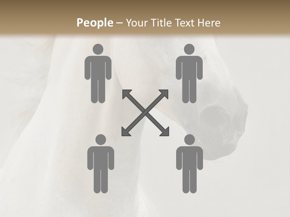 Animal Domestic Thoroughbred PowerPoint Template