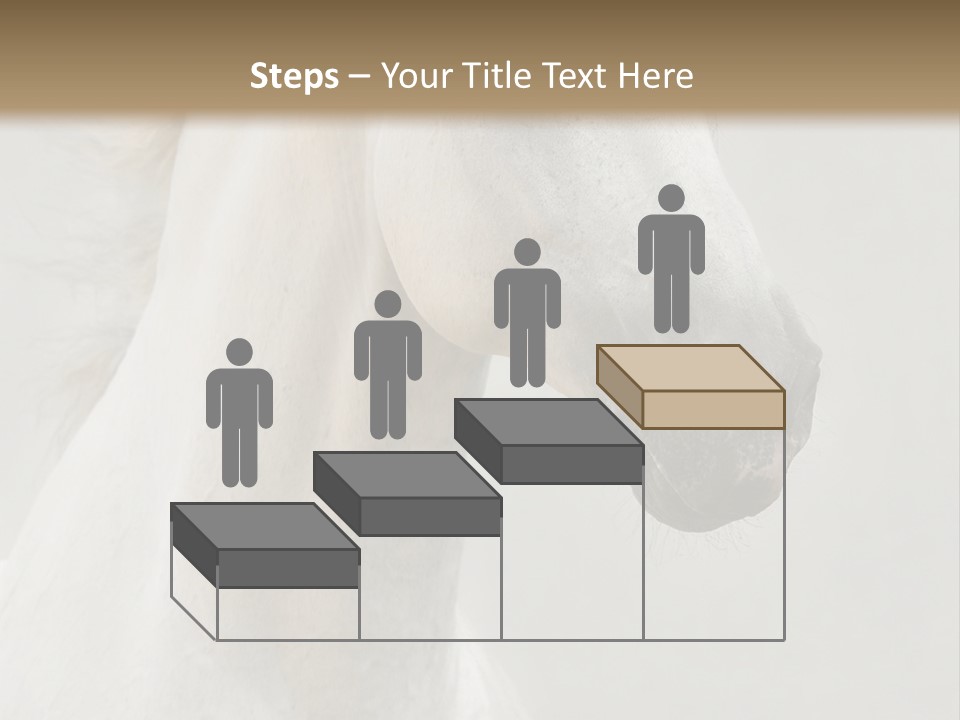 Animal Domestic Thoroughbred PowerPoint Template