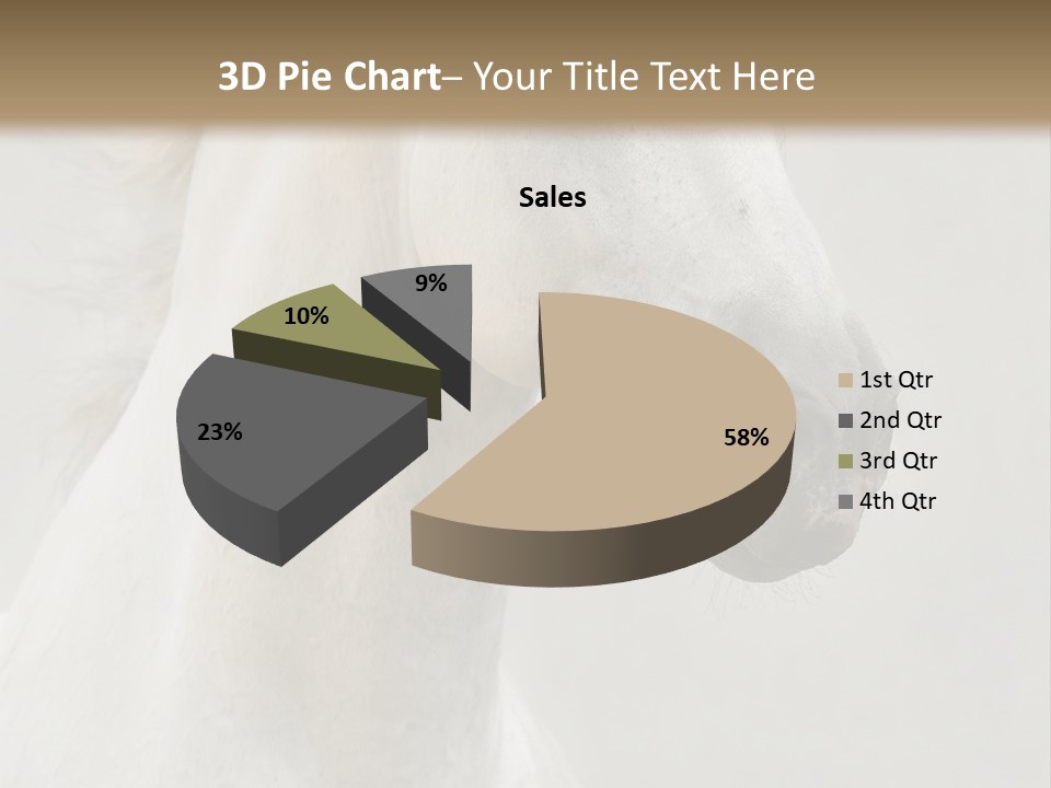 Animal Domestic Thoroughbred PowerPoint Template