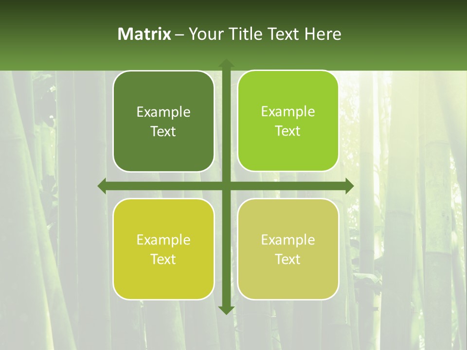 Shui Shoot Serene PowerPoint Template