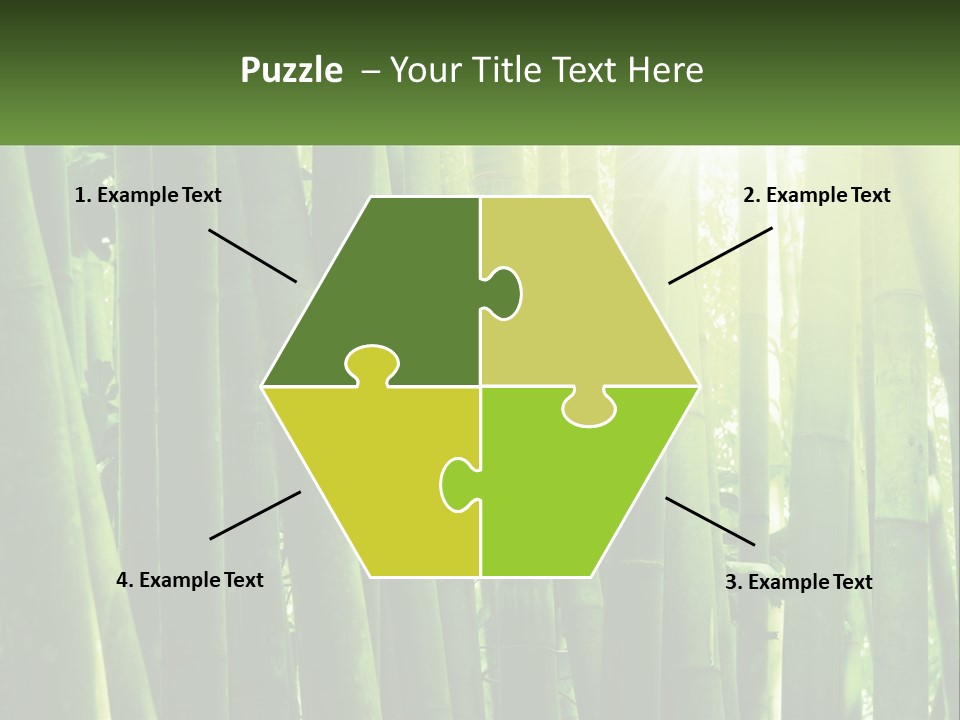 Shui Shoot Serene PowerPoint Template