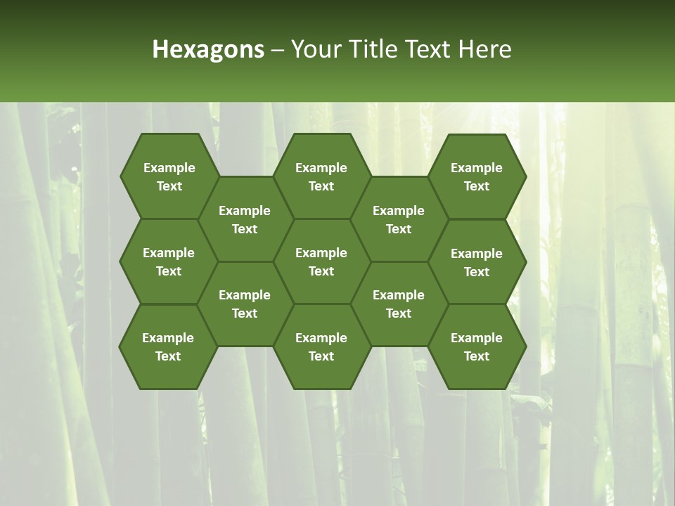 Shui Shoot Serene PowerPoint Template