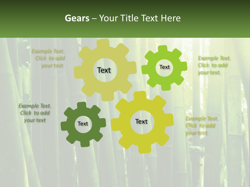 Shui Shoot Serene PowerPoint Template