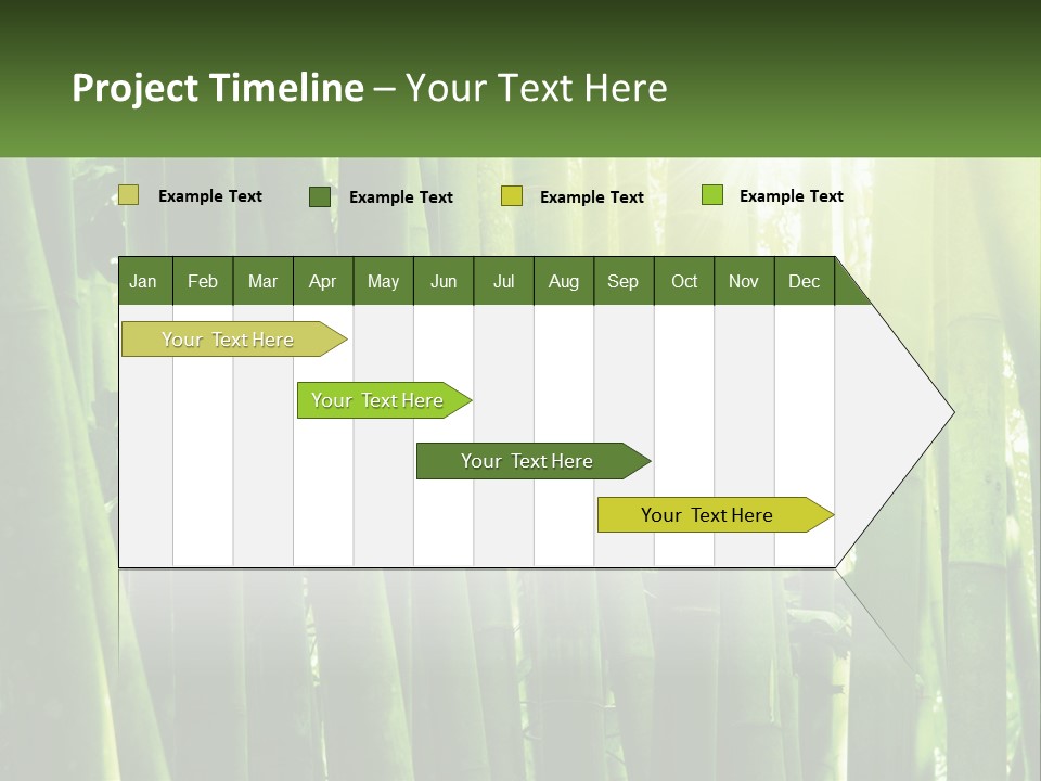 Shui Shoot Serene PowerPoint Template