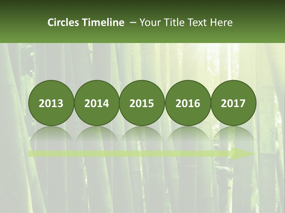 Shui Shoot Serene PowerPoint Template