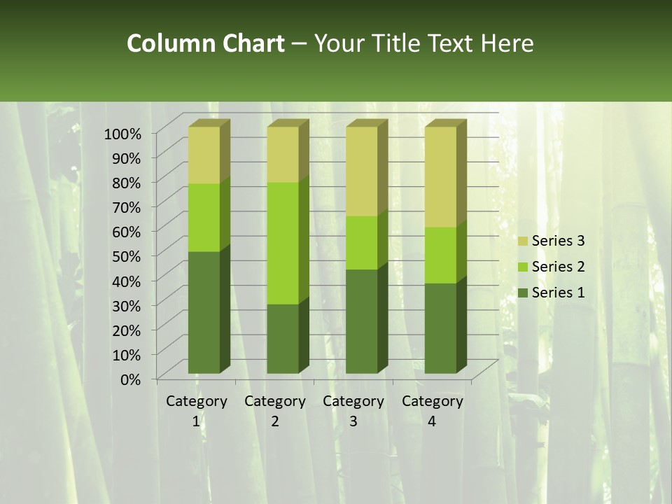Shui Shoot Serene PowerPoint Template
