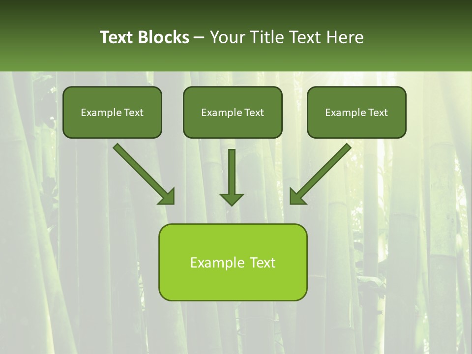 Shui Shoot Serene PowerPoint Template