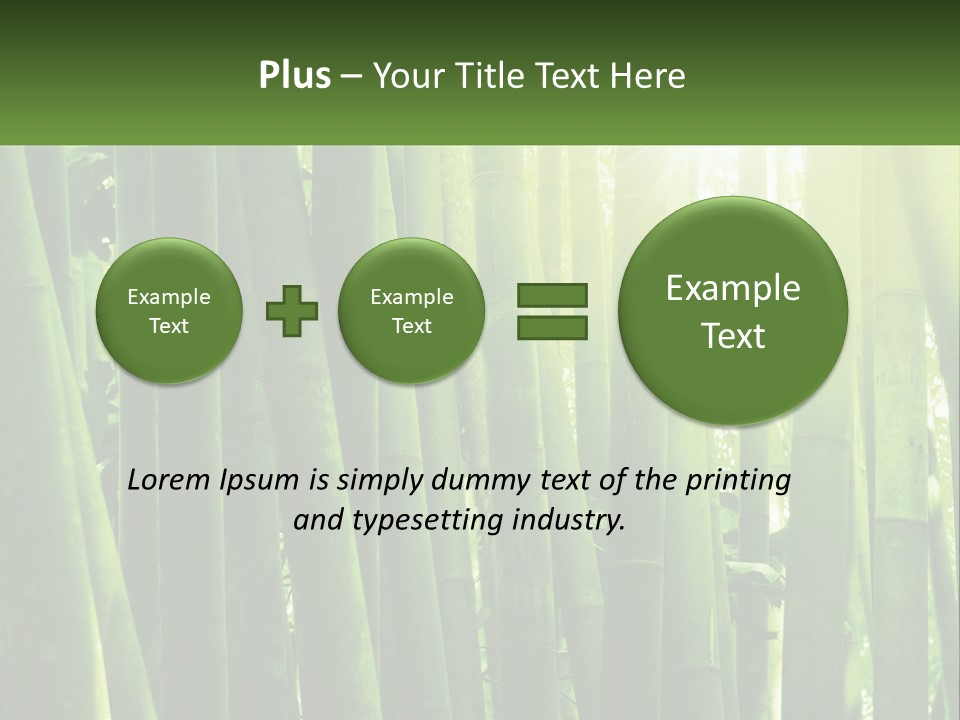 Shui Shoot Serene PowerPoint Template