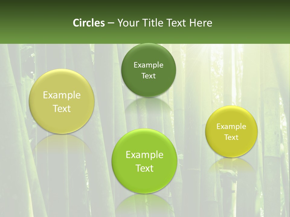 Shui Shoot Serene PowerPoint Template