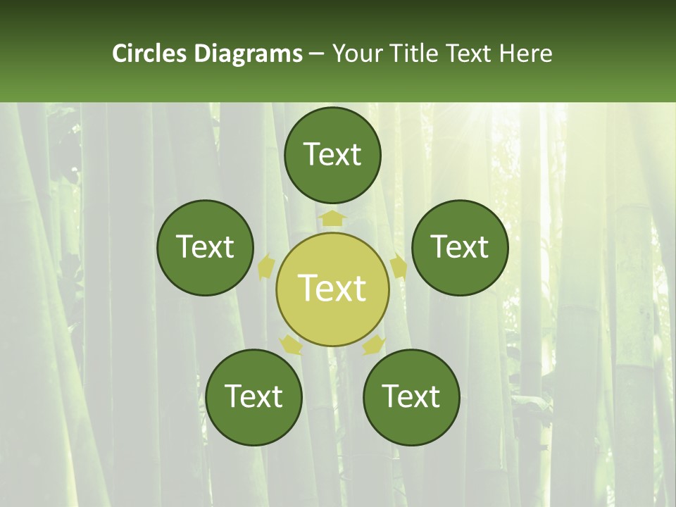 Shui Shoot Serene PowerPoint Template