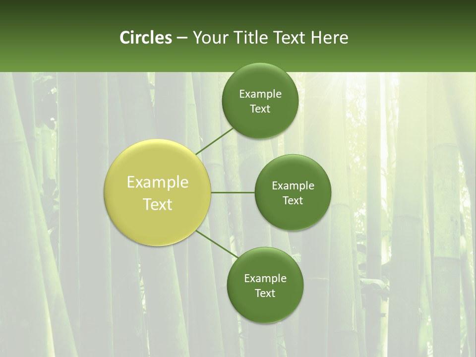 Shui Shoot Serene PowerPoint Template