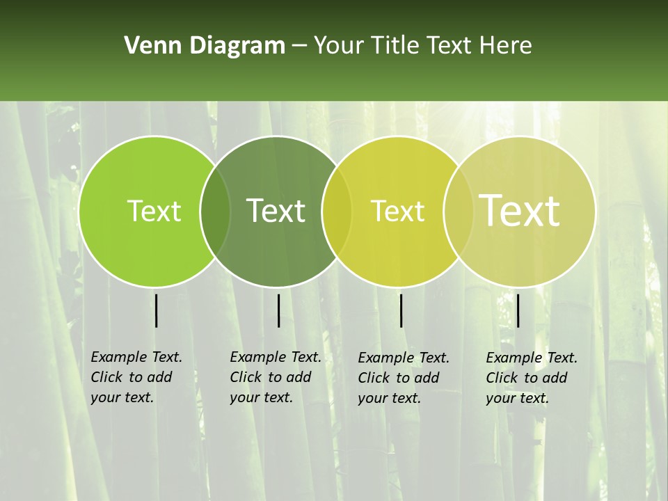 Shui Shoot Serene PowerPoint Template