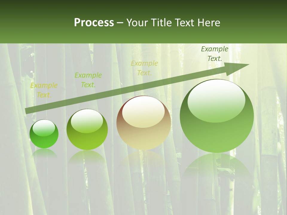 Shui Shoot Serene PowerPoint Template