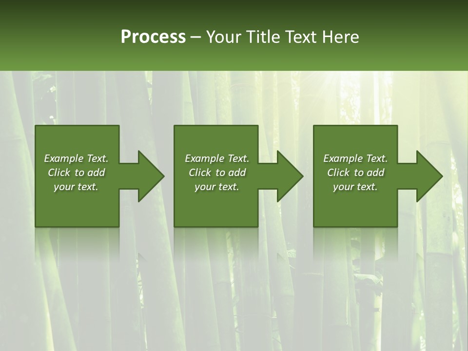 Shui Shoot Serene PowerPoint Template
