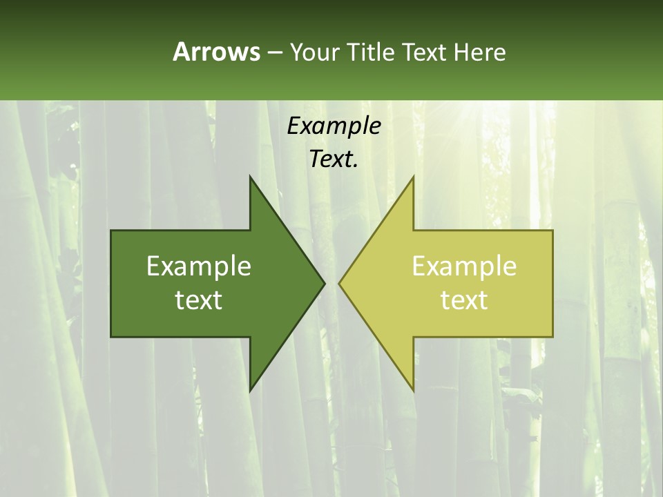 Shui Shoot Serene PowerPoint Template