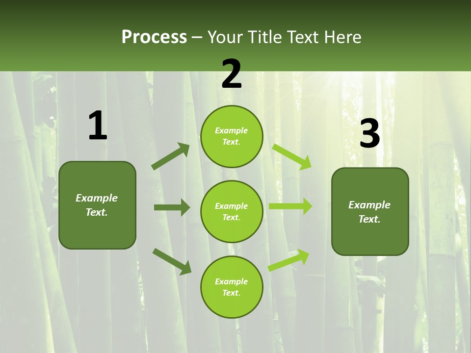 Shui Shoot Serene PowerPoint Template