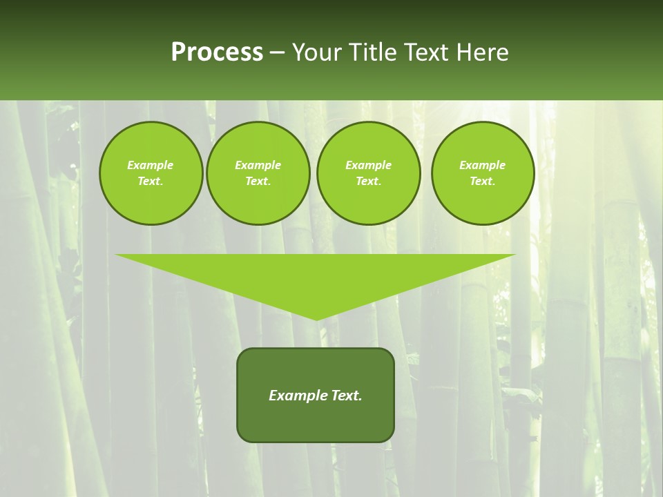 Shui Shoot Serene PowerPoint Template