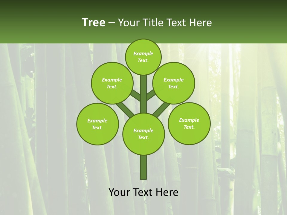 Shui Shoot Serene PowerPoint Template
